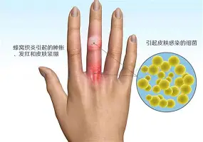 莫德里奇CBA下课的七位赛后发声(莫德里奇现在在哪个俱乐部2024) 莫德里奇CBA下课的七位赛后发声(莫德里奇现在在哪个俱乐部2024)